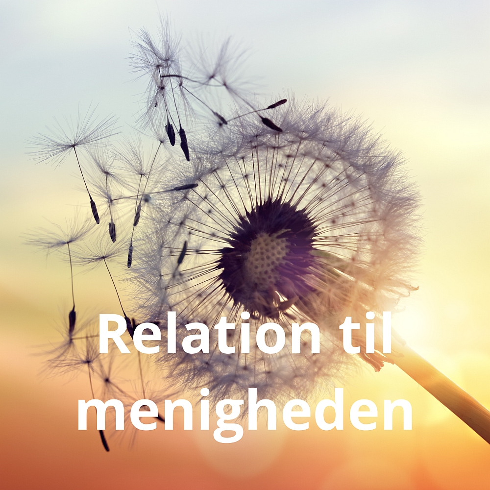 Claus Dues spændingsromaner, der åbner læsernes øjne for konsekvenser af ny teknologi og menneskets ødelæggelse af naturens balance. Videnskabethrillere kalder Bibliotekerne dem.