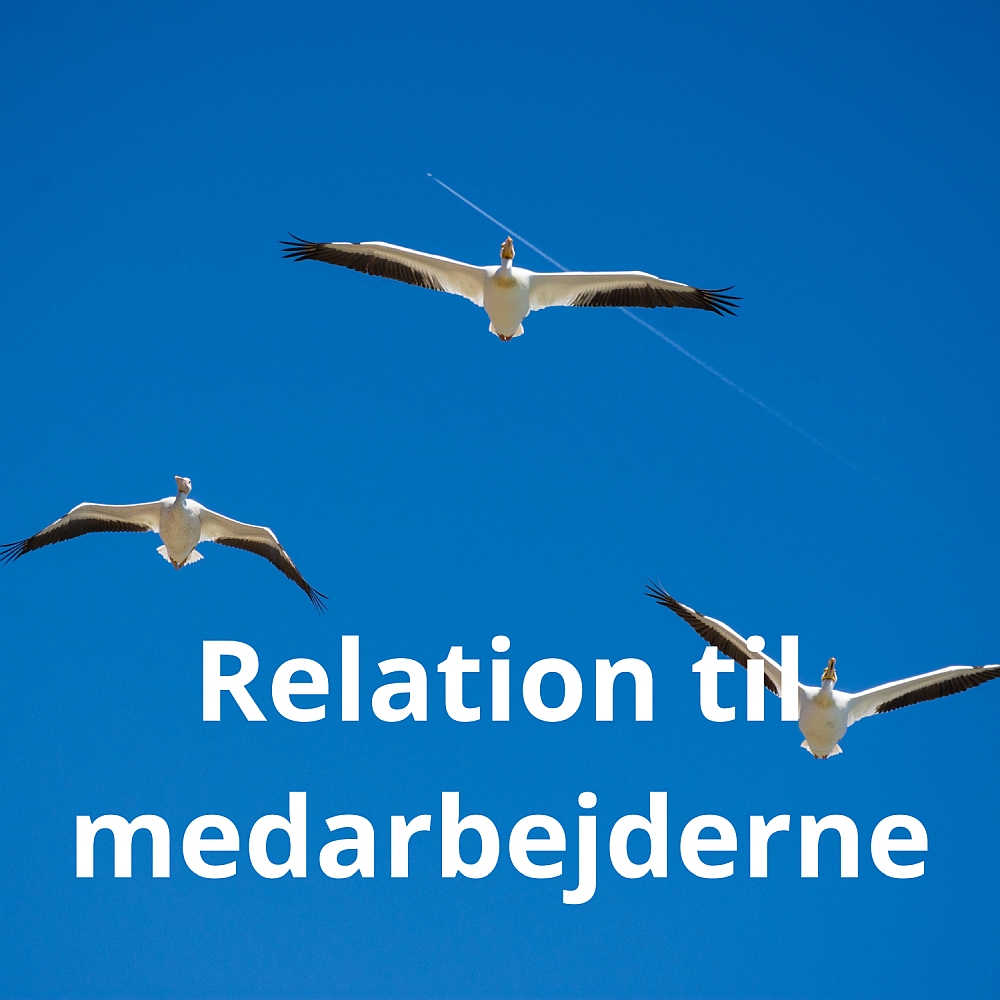 Claus Dues spændingsromaner, der åbner læsernes øjne for konsekvenser af ny teknologi og menneskets ødelæggelse af naturens balance. Videnskabethrillere kalder Bibliotekerne dem.